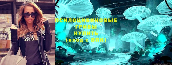 молекула духа Алзамай