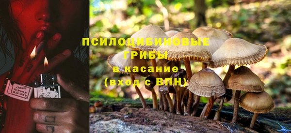 ECSTASY Абинск
