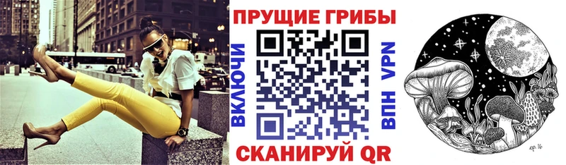 купить  цена  Тотьма  shop формула  Псилоцибиновые грибы Psilocybine cubensis 